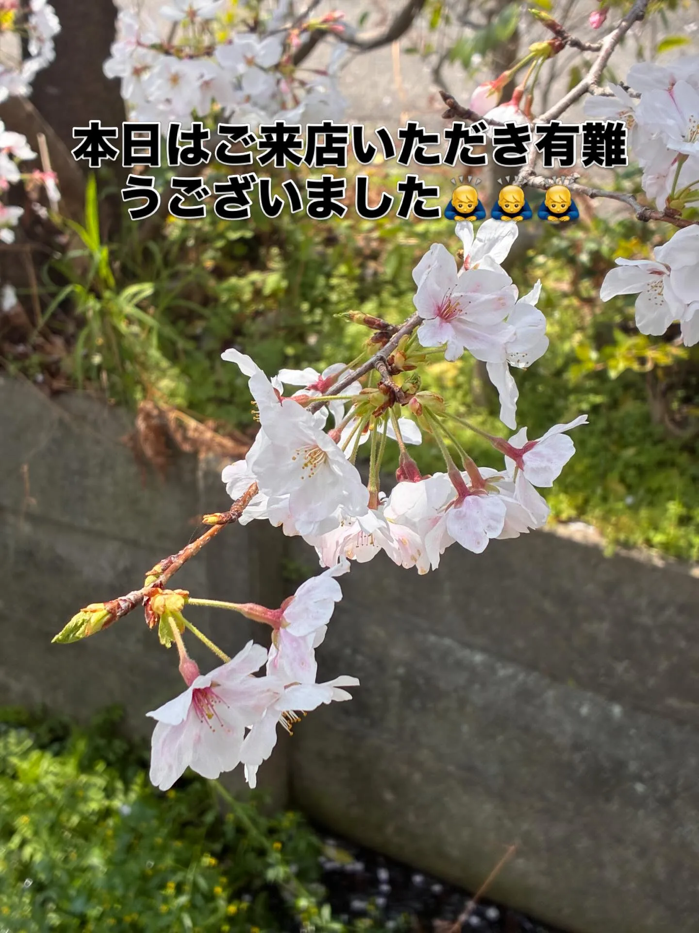 本日もご来店いただき有難うございました🙇♂️🙇♂️🙇♂...