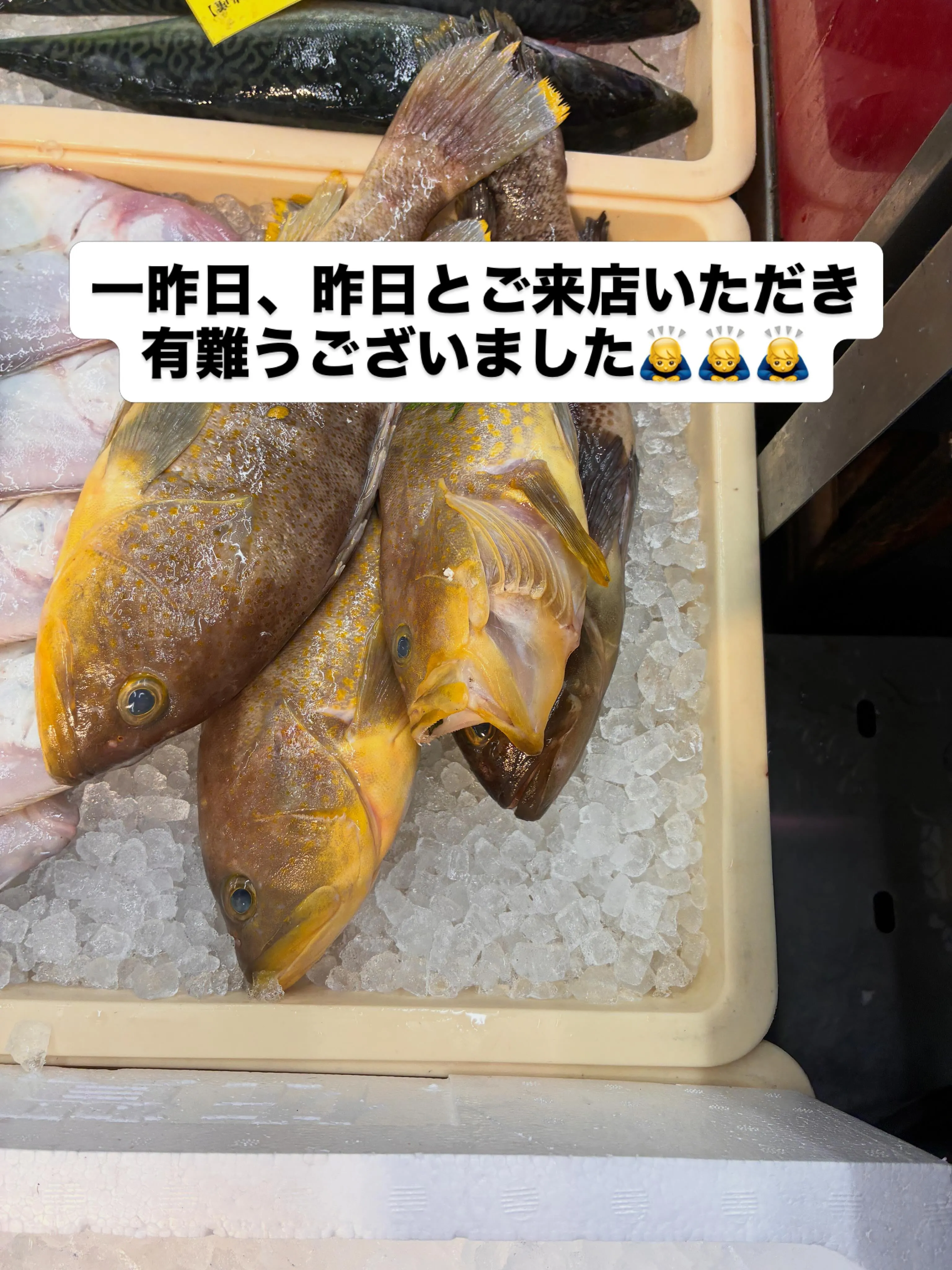 一昨日、昨日と沢山ご来店いただき有難うございました🙇‍♂️🙇...