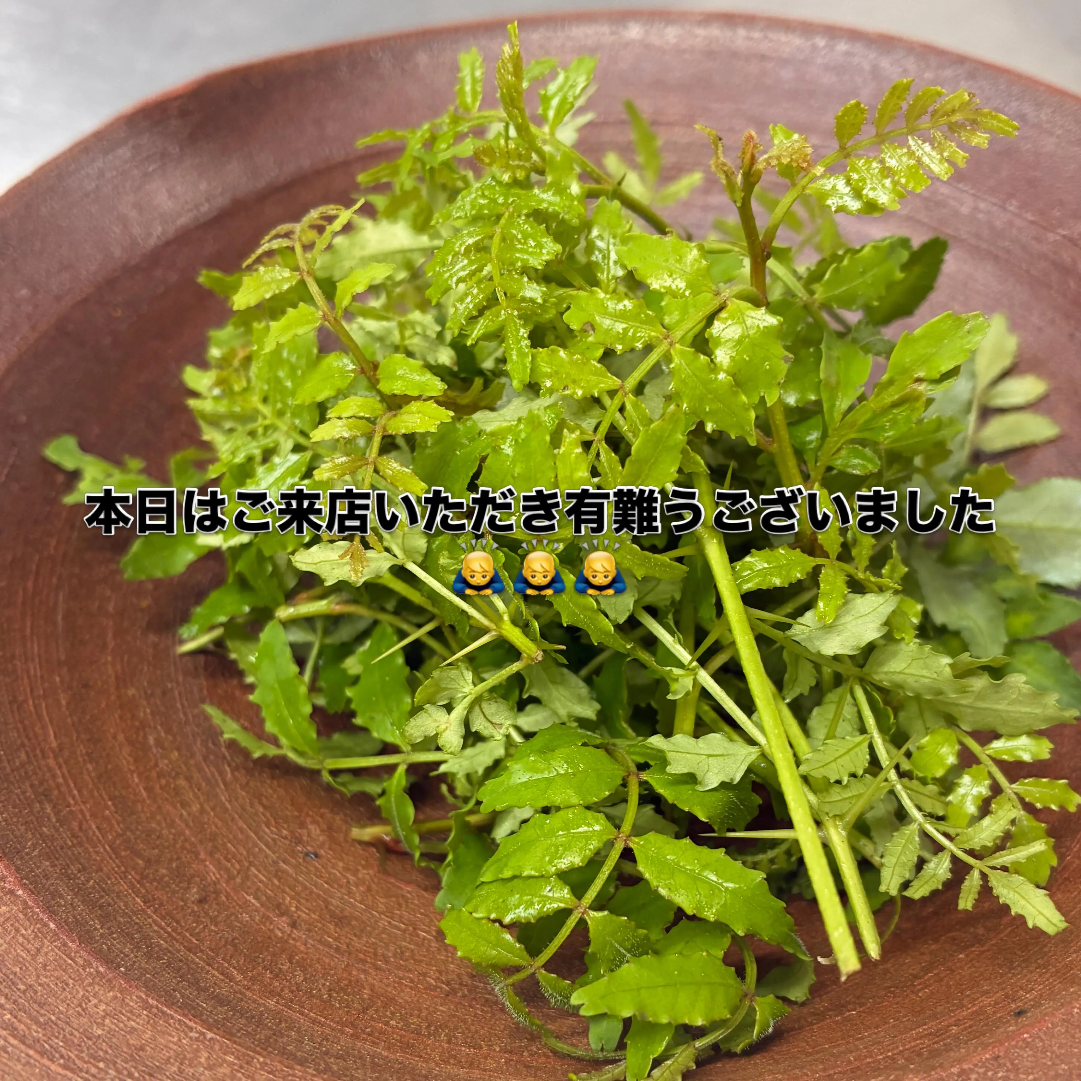 本日はご来店いただき有難うございました🙇‍♂️🙇‍♂️🙇‍♂...
