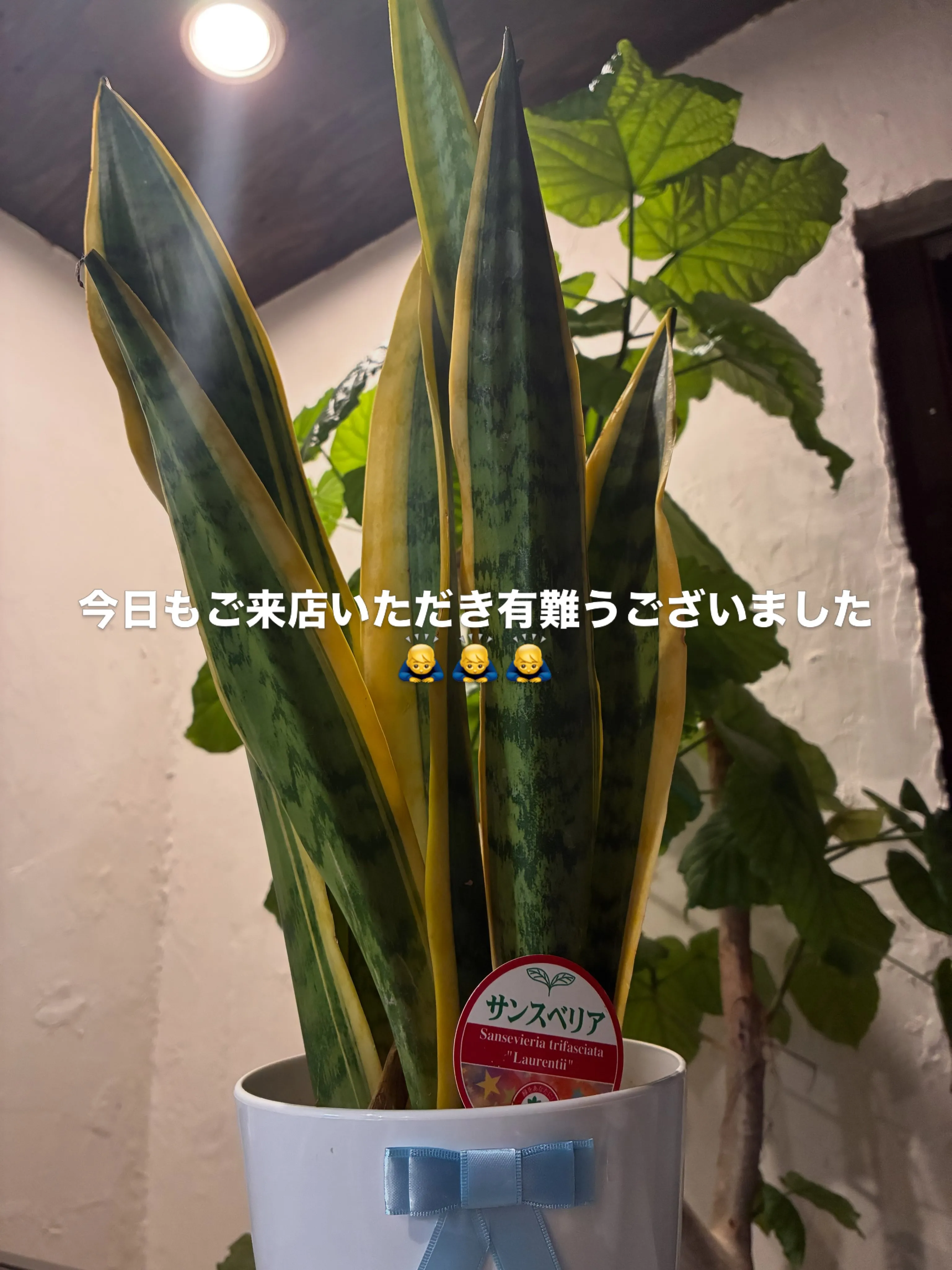 今日もご来店いただき有難うございました🙇‍♂️🙇‍♂️🙇‍♂...