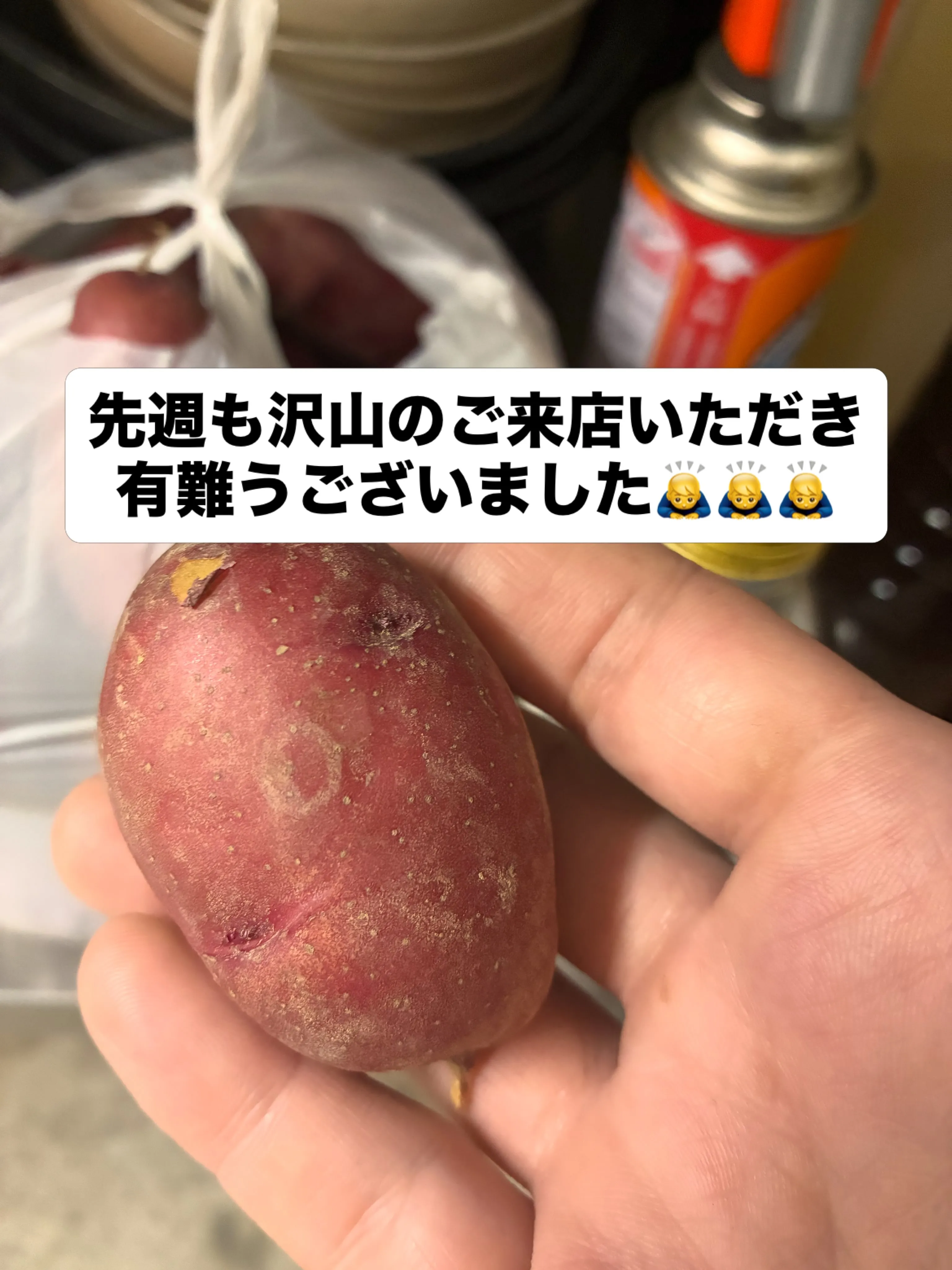 先週も「時折」へ足を運んでくださった皆さま、