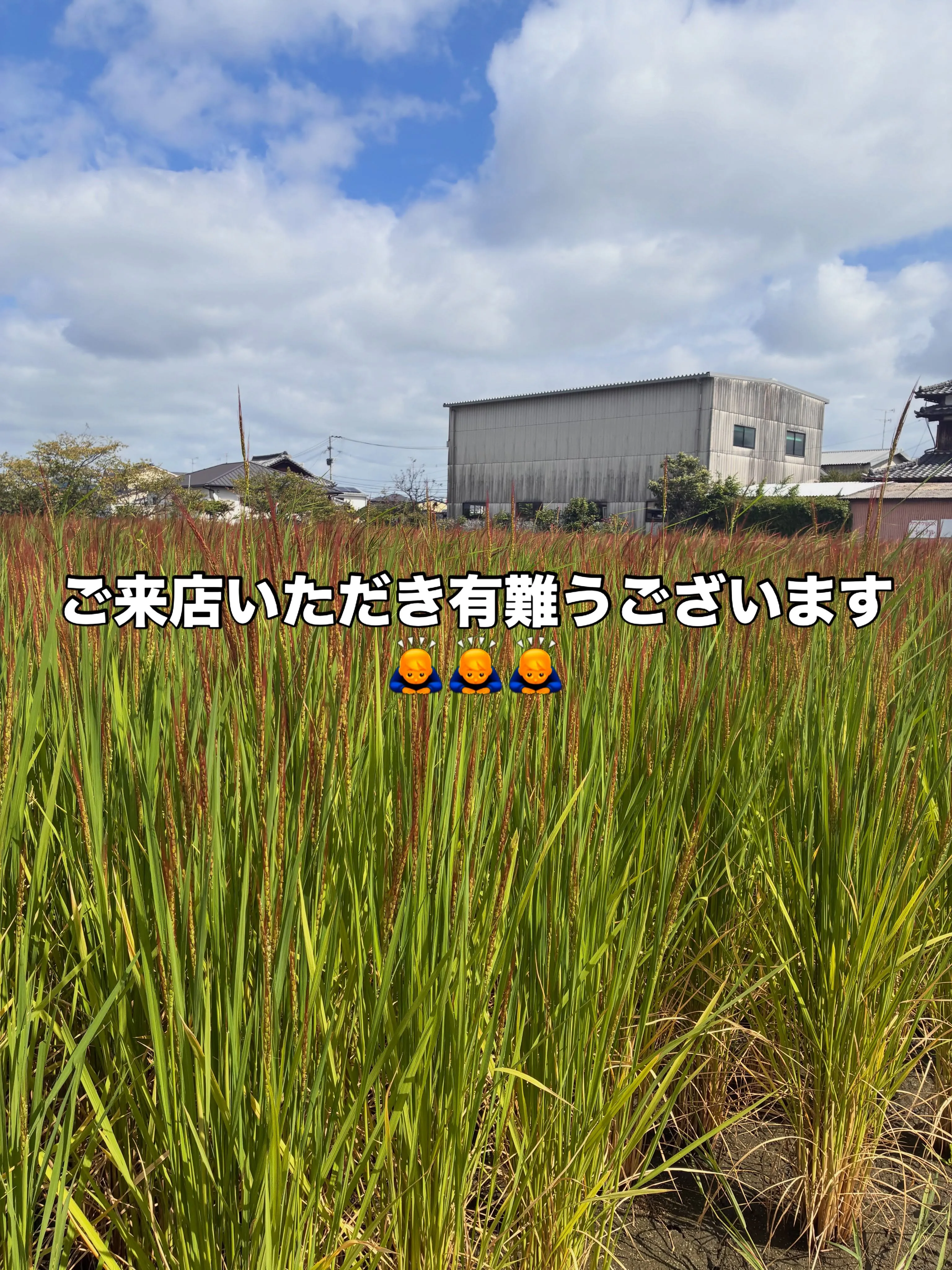 ご来店いただき有難うございます🙇♂️🙇♂️🙇♂️今週来...